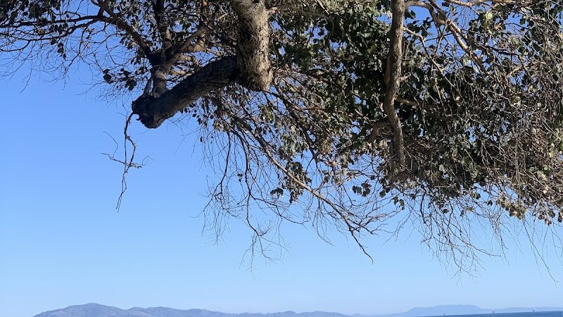 Shoreline Park - Santa Barbara, CA