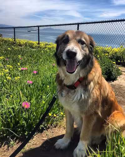Shoreline Park - Santa Barbara, CA