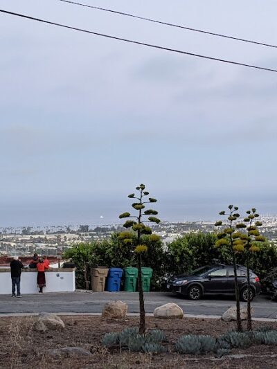 Sylvan Park - Santa Barbara, CA