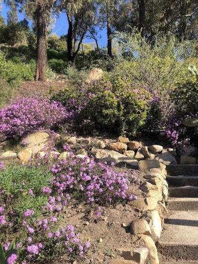 Sylvan Park - Santa Barbara, CA