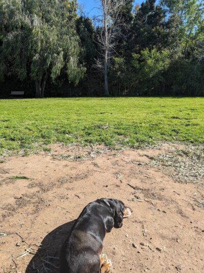 Tabano Hollow Open Space - Santa Barbara, CA