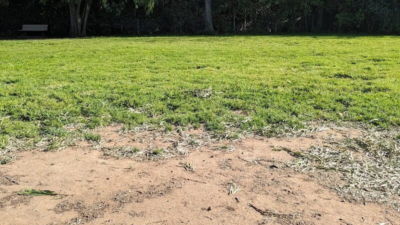 Tabano Hollow Open Space - Santa Barbara, CA