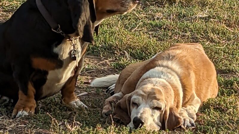 Tabano Hollow Open Space - Santa Barbara, CA