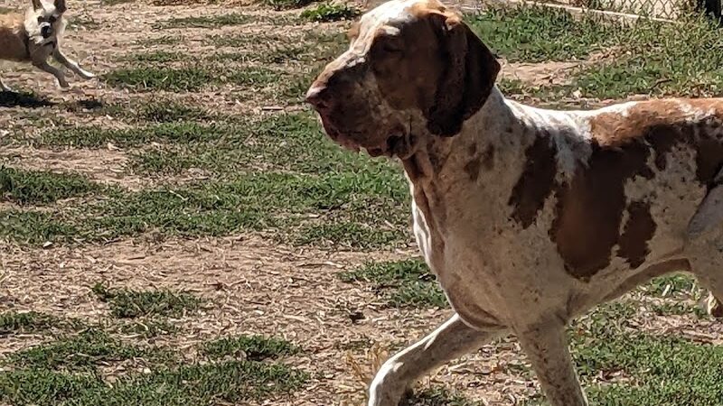 Tabano Hollow Open Space - Santa Barbara, CA