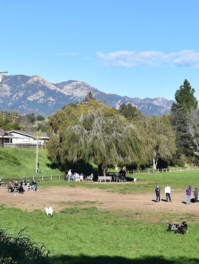 Tabano Hollow Open Space - Santa Barbara, CA