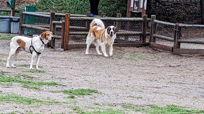 Tabano Hollow Open Space - Santa Barbara, CA