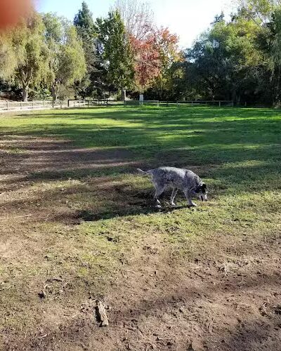 Tabano Hollow Open Space - Santa Barbara, CA