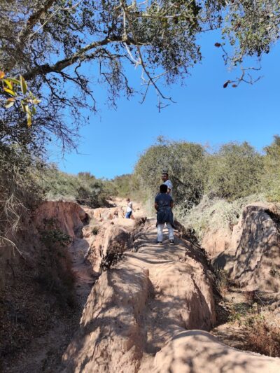 Toro Canyon Park - Santa Barbara, CA
