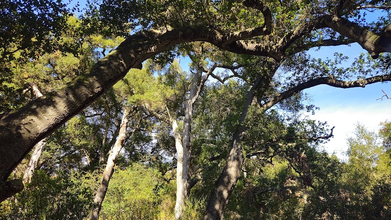 Toro Canyon Park - Santa Barbara, CA