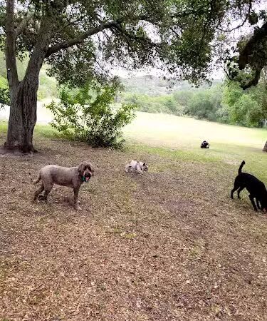 Toro Canyon Park - Santa Barbara, CA