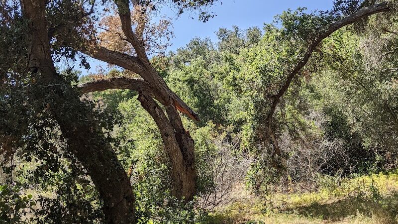 Tuckers Grove Park - Santa Barbara, CA