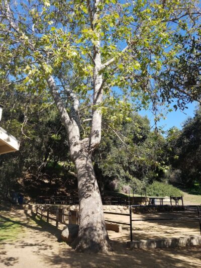 Tuckers Grove Park - Santa Barbara, CA