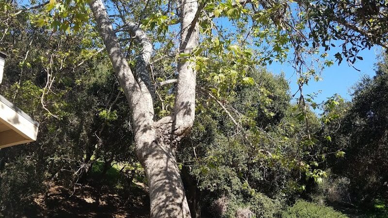Tuckers Grove Park - Santa Barbara, CA