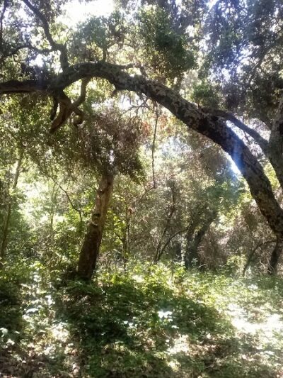 Tuckers Grove Park - Santa Barbara, CA