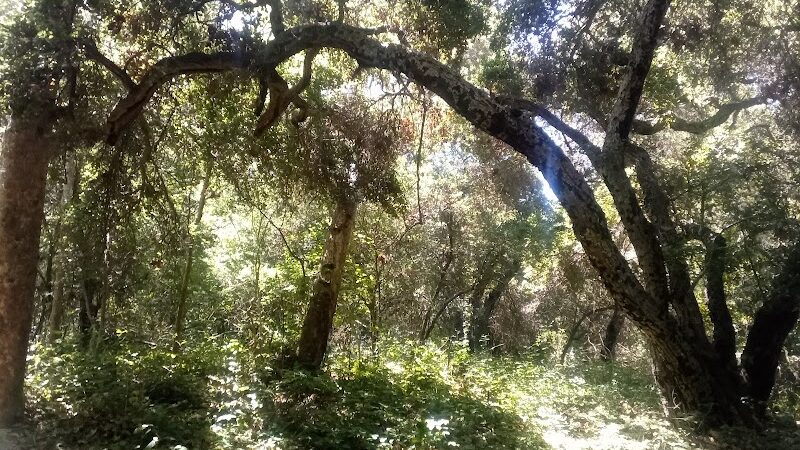 Tuckers Grove Park - Santa Barbara, CA