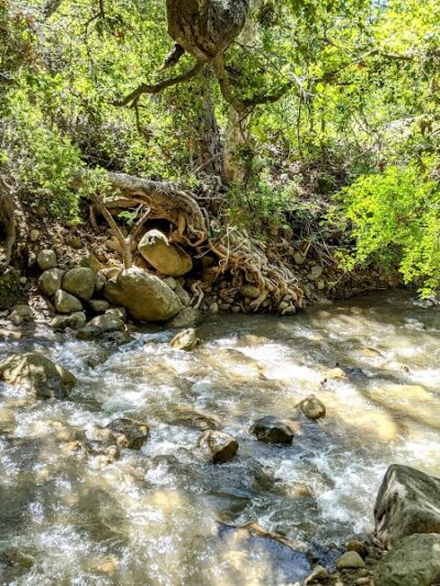Tuckers Grove Park - Santa Barbara, CA