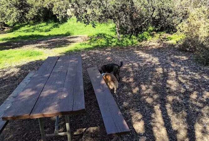 Tuckers Grove Park - Santa Barbara, CA