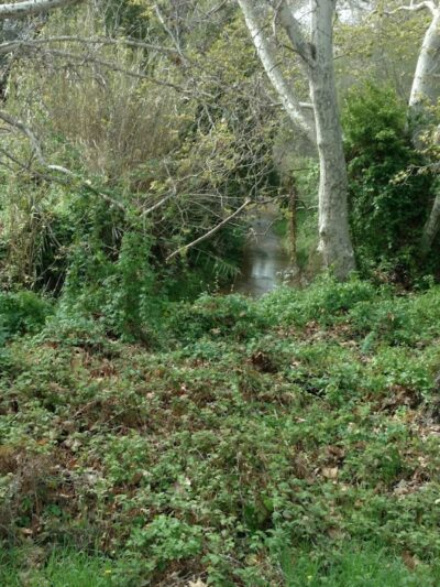 Univ Circle Open Space - Santa Barbara, CA