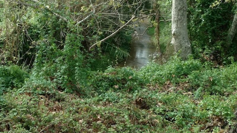Univ Circle Open Space - Santa Barbara, CA