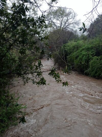 Univ Circle Open Space - Santa Barbara, CA