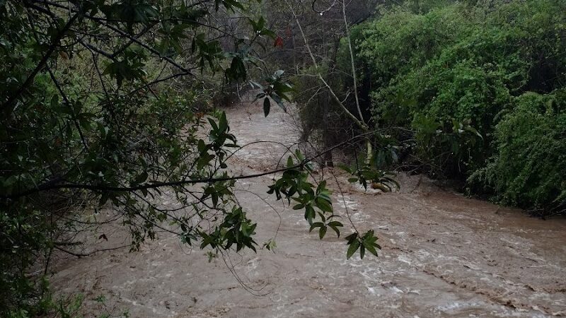 Univ Circle Open Space - Santa Barbara, CA
