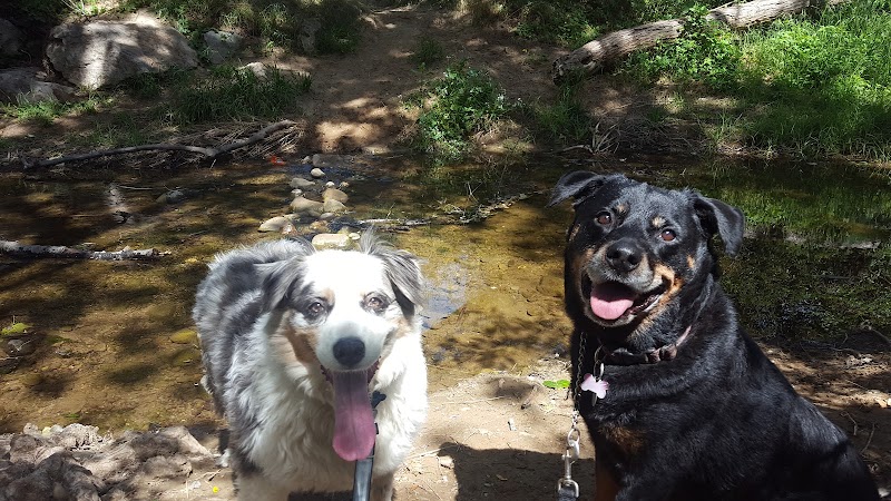 Univ Circle Open Space - Santa Barbara, CA