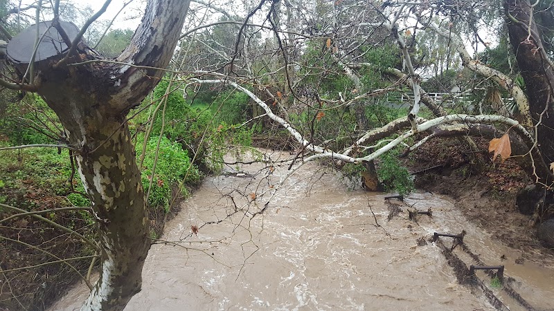 Univ Circle Open Space - Santa Barbara, CA