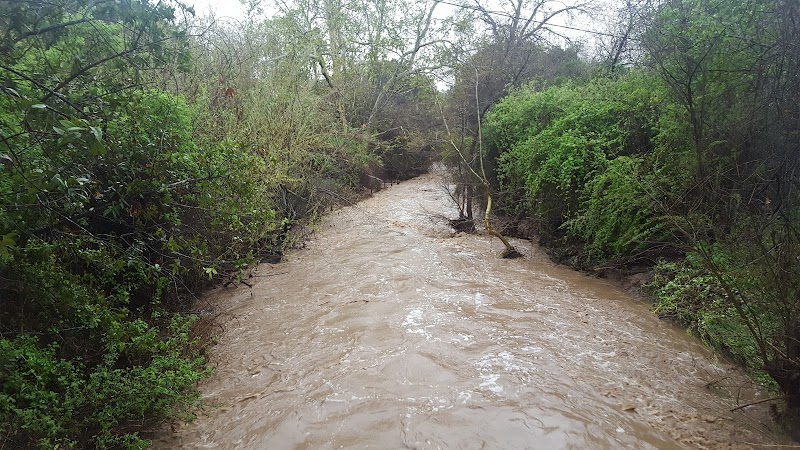 Univ Circle Open Space - Santa Barbara, CA