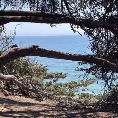 Douglas Family Preserve - Santa Barbara, CA