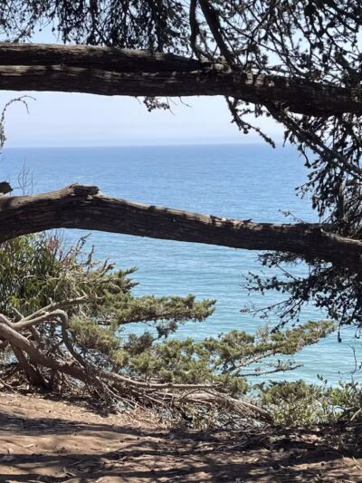 Douglas Family Preserve - Santa Barbara, CA