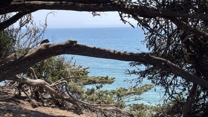 Douglas Family Preserve - Santa Barbara, CA