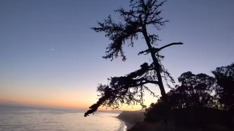 Douglas Family Preserve - Santa Barbara, CA