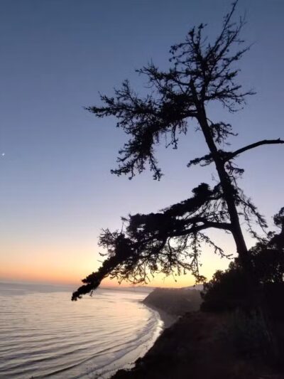 Douglas Family Preserve - Santa Barbara, CA