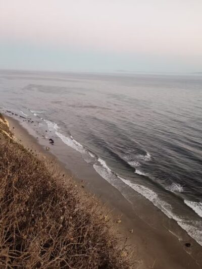 Douglas Family Preserve - Santa Barbara, CA