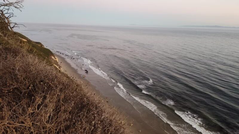 Douglas Family Preserve - Santa Barbara, CA