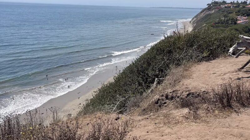 Douglas Family Preserve - Santa Barbara, CA