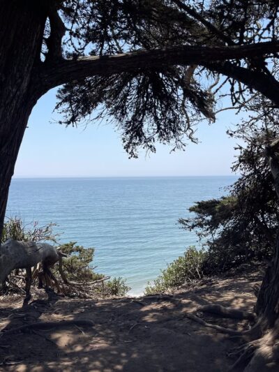 Douglas Family Preserve - Santa Barbara, CA