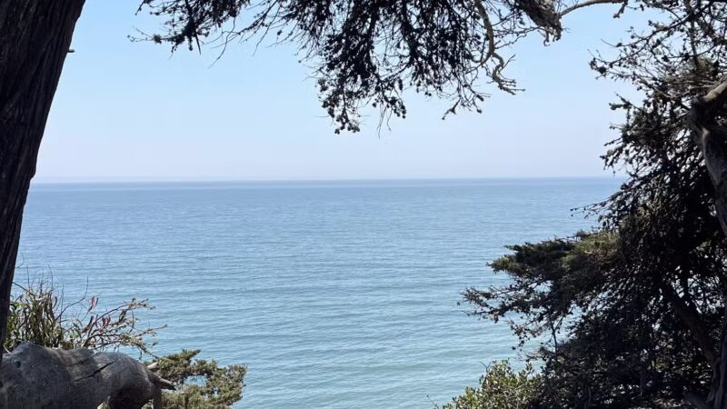 Douglas Family Preserve - Santa Barbara, CA