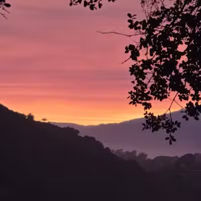 Elings Park - Santa Barbara, CA