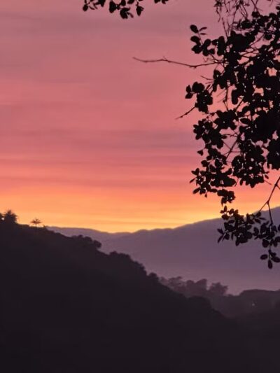 Elings Park - Santa Barbara, CA