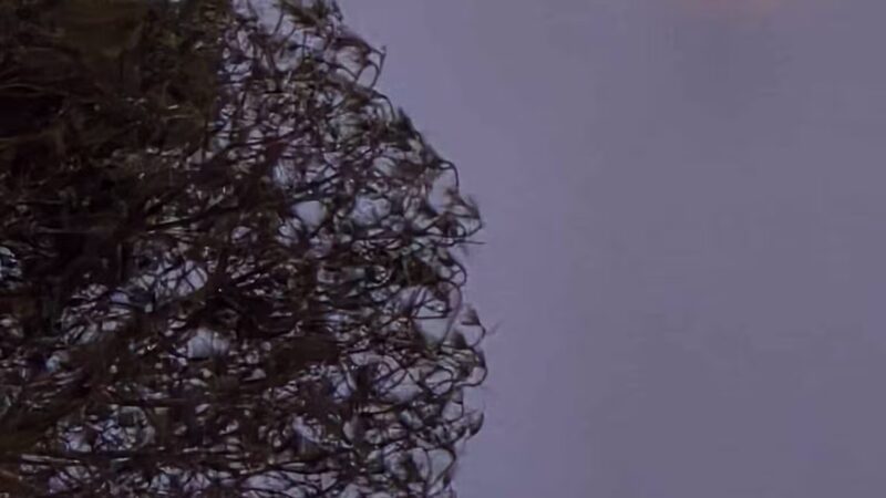 Elings Park - Santa Barbara, CA