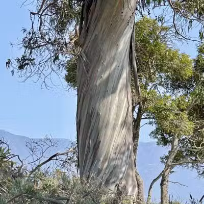 Shoreline Park - Santa Barbara, CA