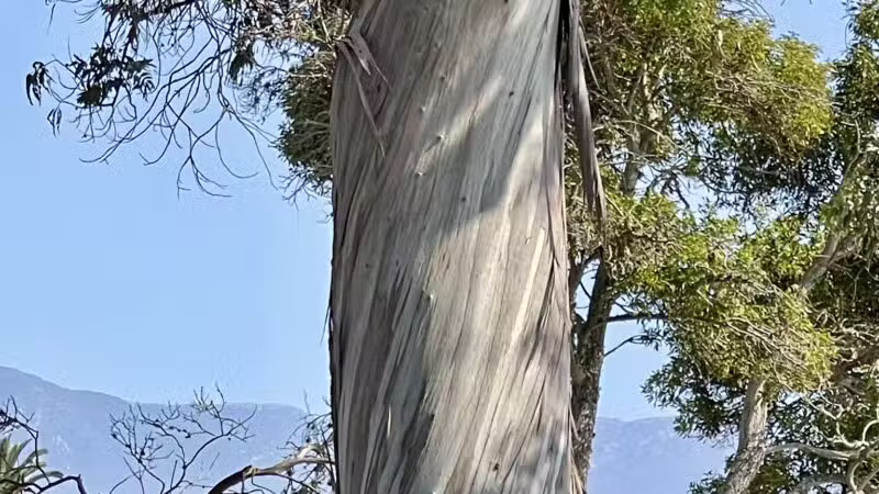 Shoreline Park - Santa Barbara, CA