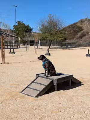 Central Bark Park - Santa Clarita, CA