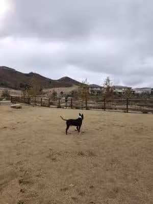 Dogwood Gated Community Dog Park - Santa Clarita, CA
