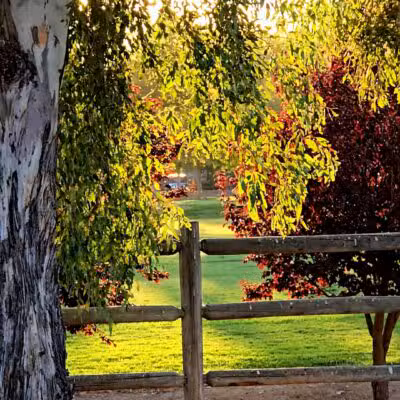 Central Park - Santa Clarita, CA