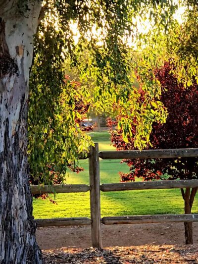 Central Park - Santa Clarita, CA