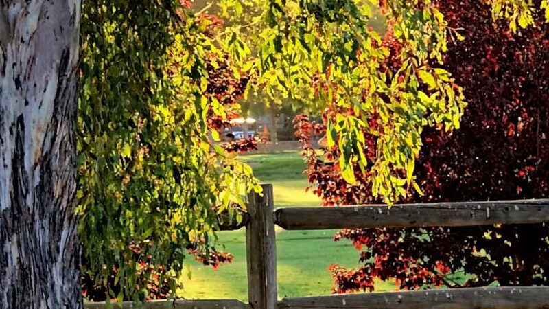 Central Park - Santa Clarita, CA