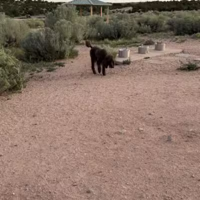 Frank S Ortiz Dog Park - Santa Fe, NM