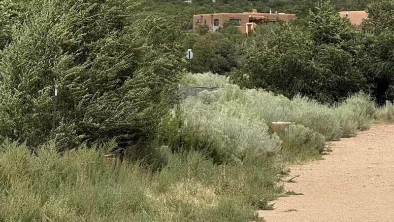 Frank S Ortiz Dog Park - Santa Fe, NM